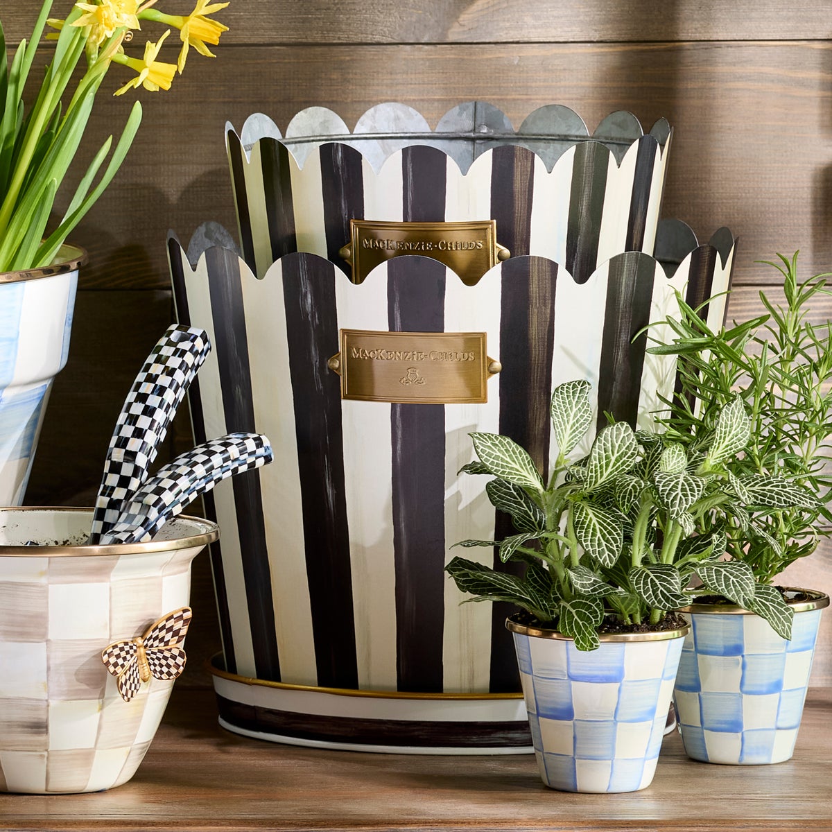 Courtly Stripe Pots & Saucers, Set of 3 - Image 5