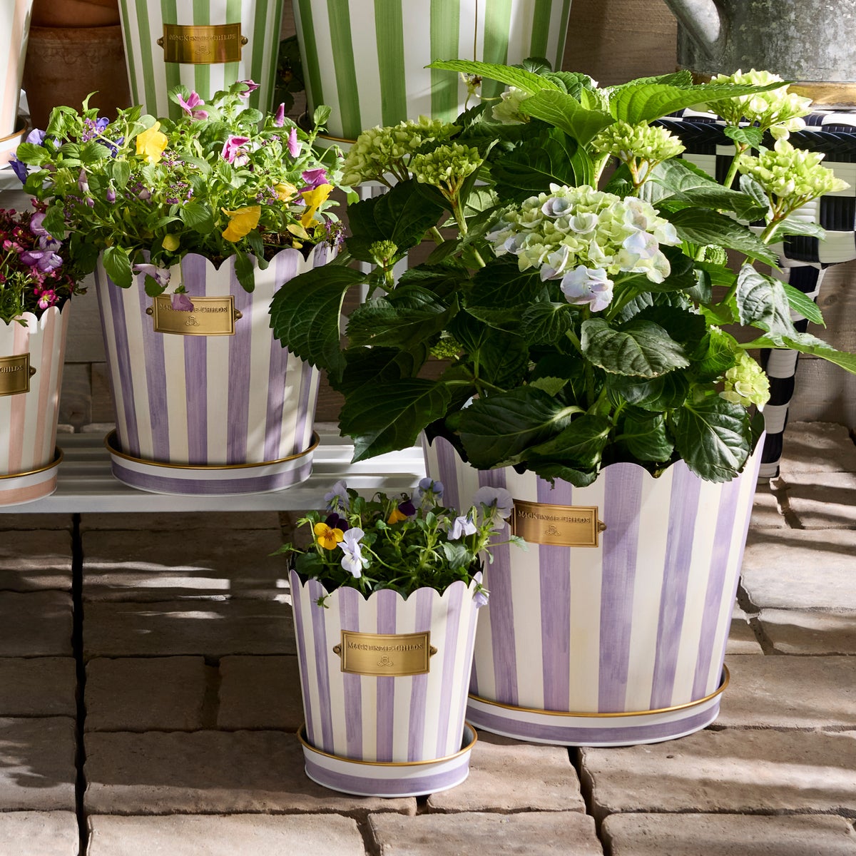 Violet Stripe Pots & Saucers, Set of 3 - Image 2